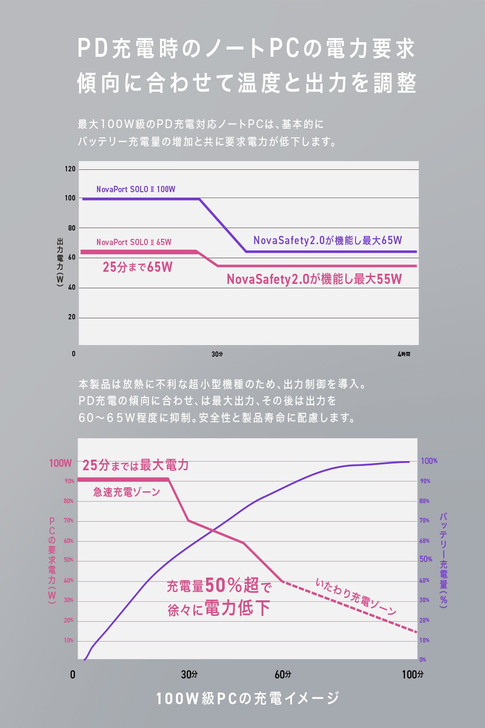 NovaPort SOLOⅡ 100W1C